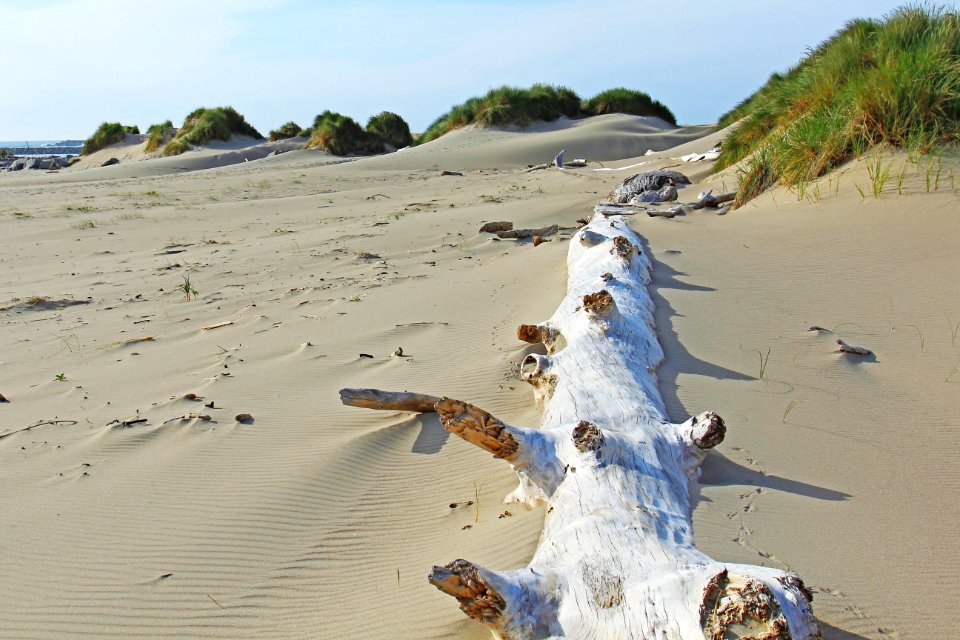 Oregon Dunes Oregon