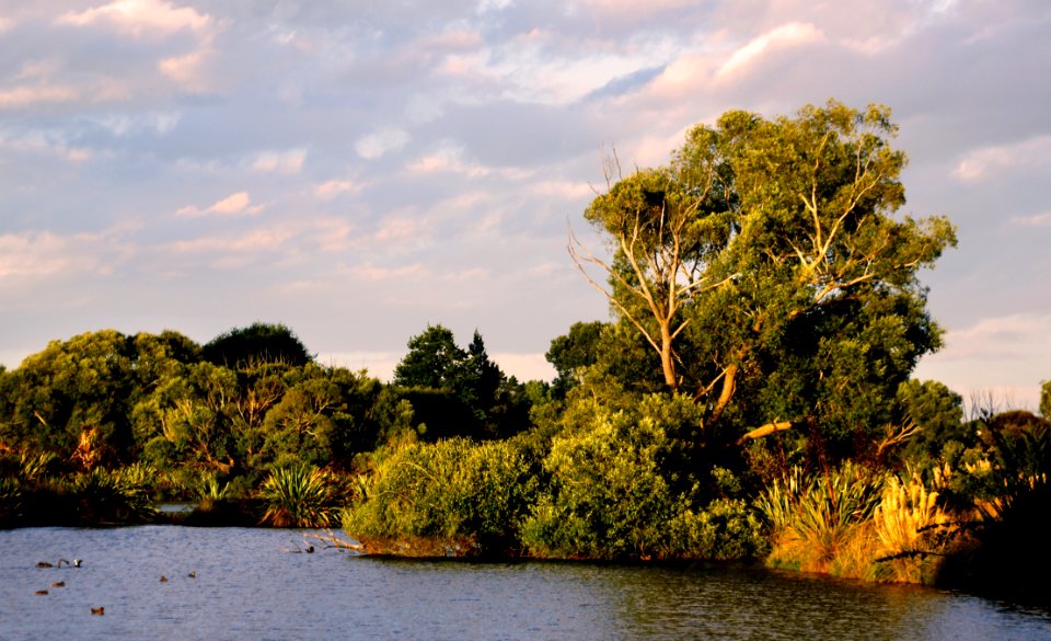 Styx Mill ReserveChristchurch