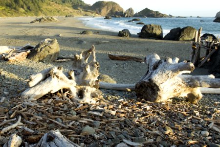 Lone Ranch Beach Oregon