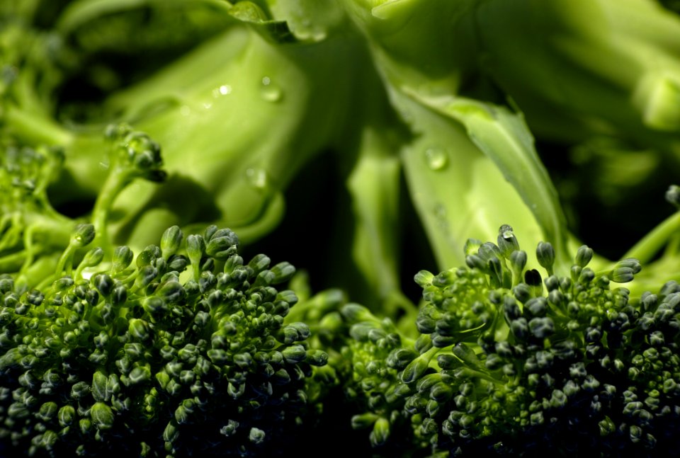 Broccoli Leaf Vegetable Water Drop