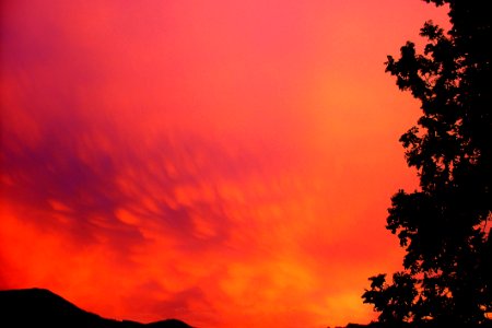 Sky Red Sky At Morning Afterglow Nature