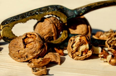 Tree Nuts Walnut Nut Nuts amp Seeds
