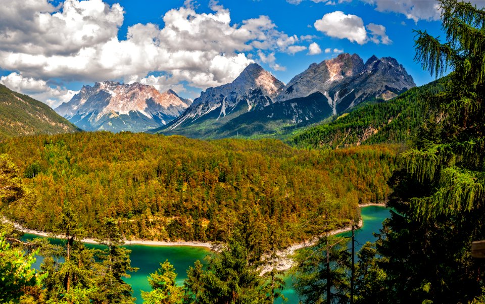 Nature Wilderness Nature Reserve Mount Scenery