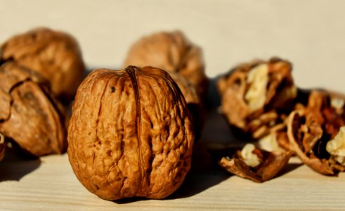 Tree Nuts Walnut Nuts amp Seeds Nut photo