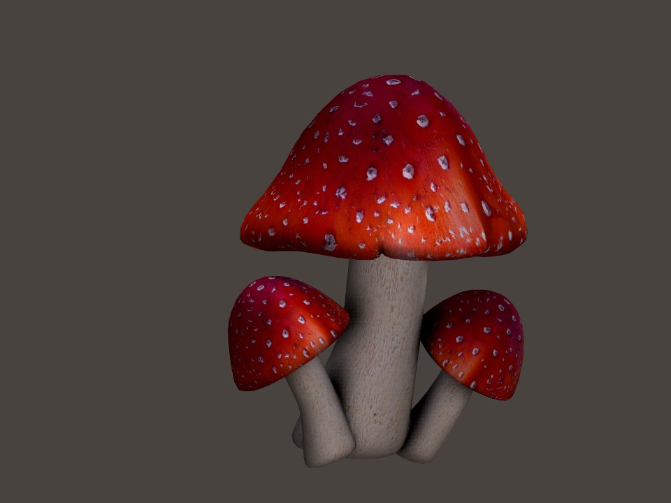 Still Life Photography Computer Wallpaper