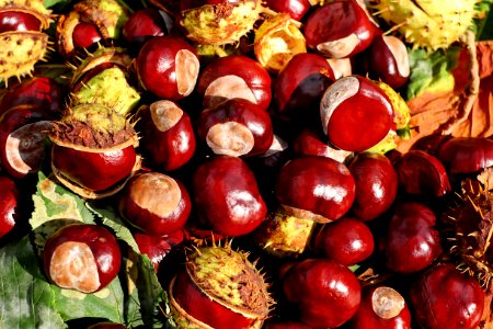 Natural Foods Fruit Local Food Vegetable