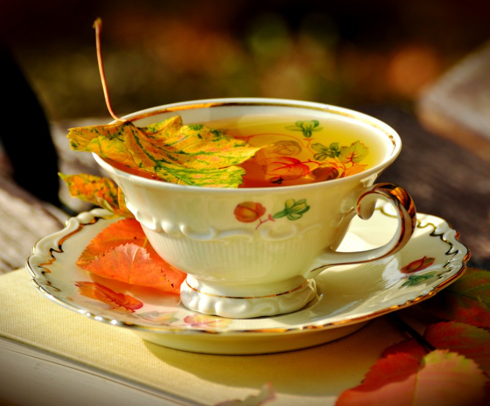 Dish Food Tableware Soup