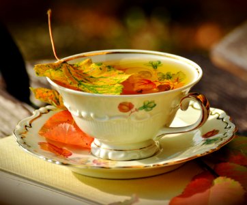 Dish Food Tableware Soup