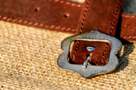 Strap Brown Leather Buckle photo