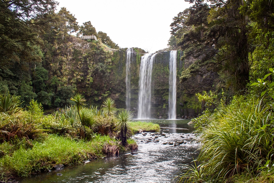New zealand waterfall whangarei
