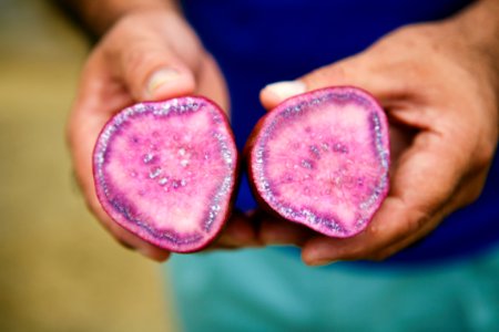 Food Hand Plant Ingredient