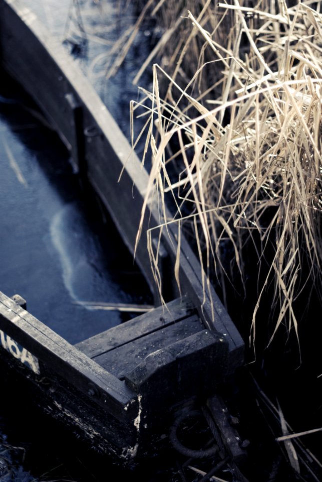 Old Boat On The River