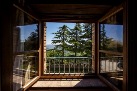 Window On Large Garden With Trees