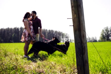 A Lovely Couple With Two Dogs