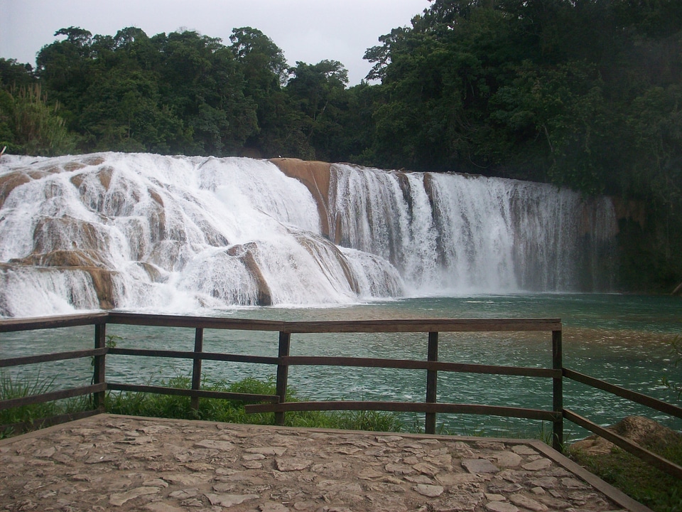 Mexico chiapas nature