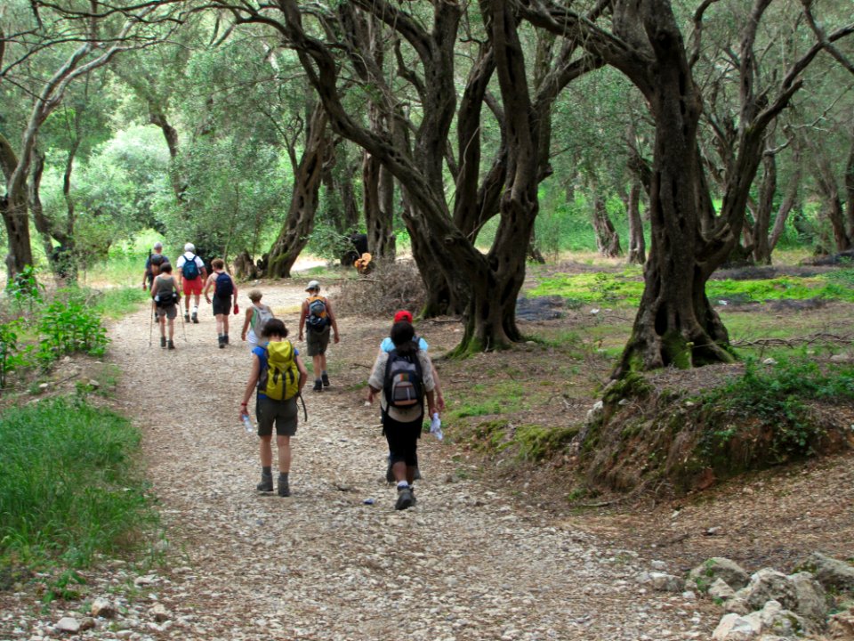 Plant Plant Community Ecoregion People In Nature