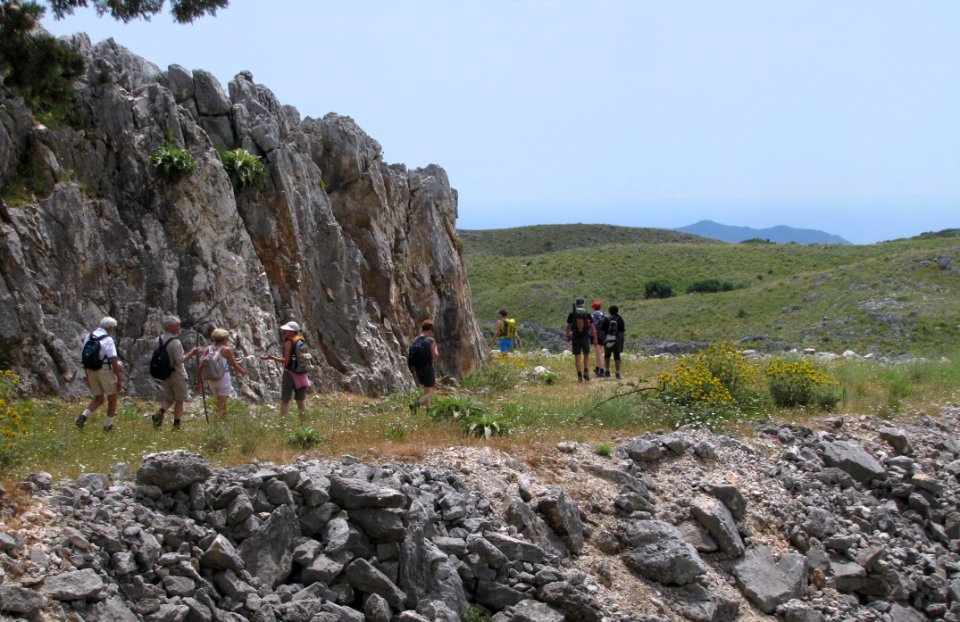 Sky Plant Community Mountain Bedrock photo