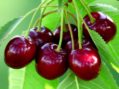Natural Foods Cherry Fruit Produce photo