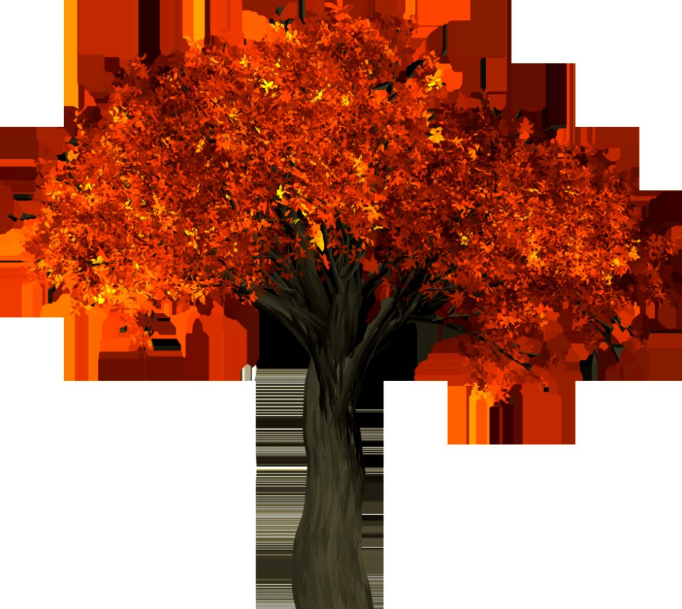 Tree Leaf Orange Autumn