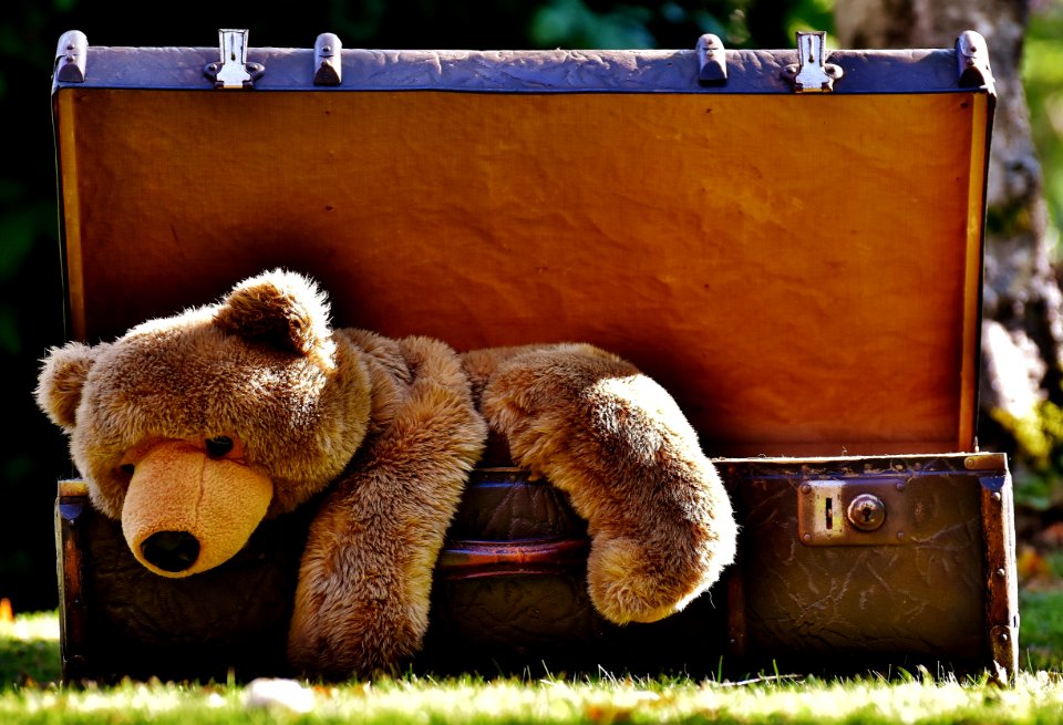 Teddy Bear Snout Stuffed Toy Bear