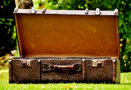 Metal Grass Suitcase photo