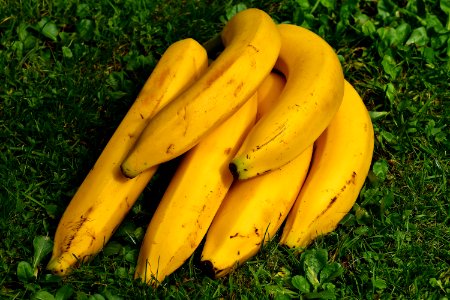 Banana Yellow Produce Banana Family