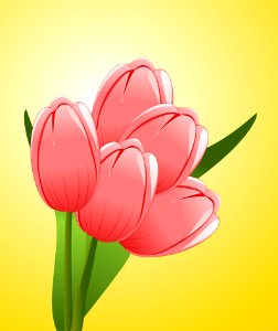 Flower Flowering Plant Tulip Plant