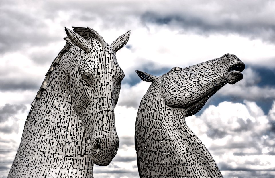 Black And White Mammal Head Sculpture