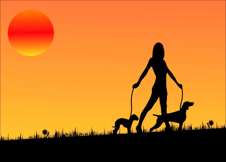 Silhouette Sky Sunset Sunrise