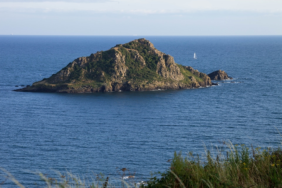 Sailing boat rock forest