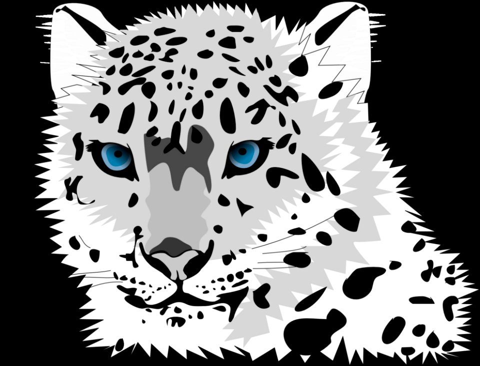 Black And White Black Face Leopard photo