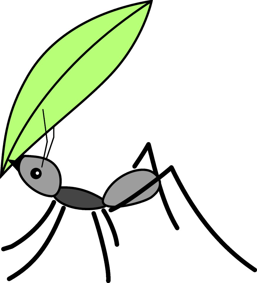 Leaf Invertebrate Black And White Insect