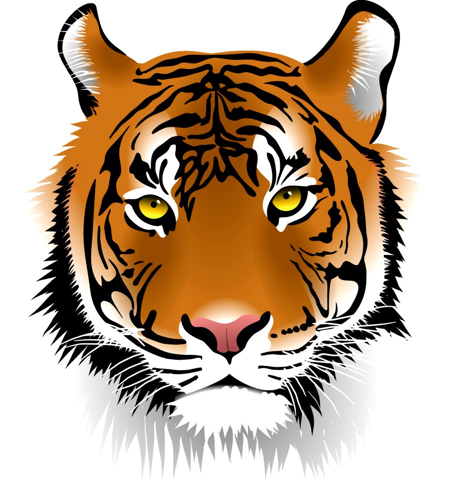 Tiger Face Mammal Cat Like Mammal