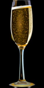 Champagne Stemware Stemware Wine Glass Beer Glass photo