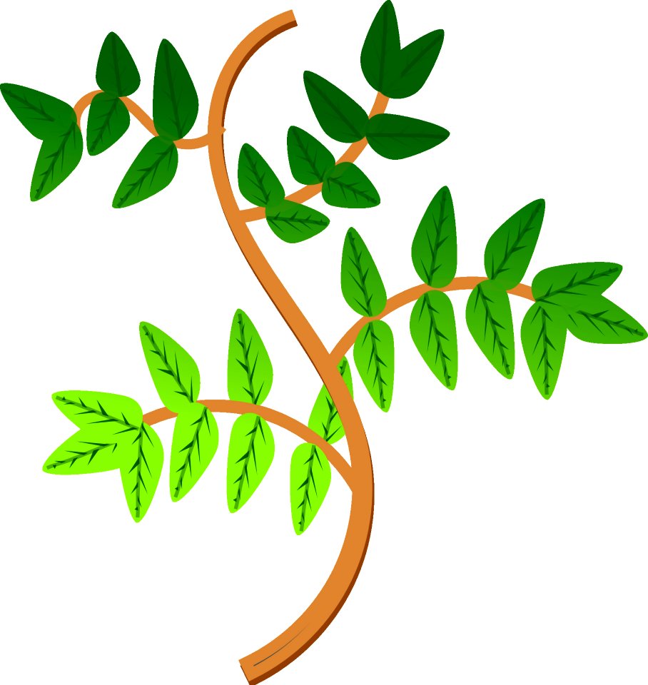 Leaf Plant Tree Branch