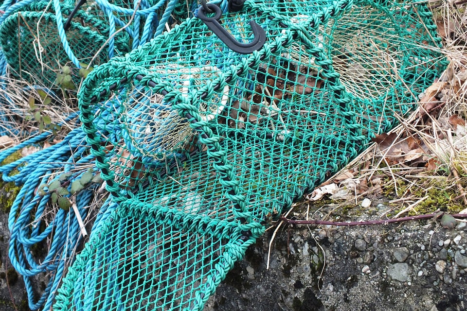 Basket catch equipment