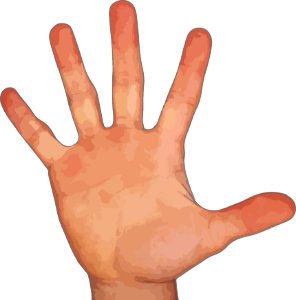 Finger Hand Hand Model Thumb photo