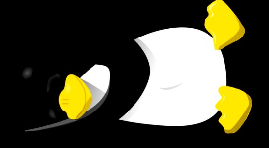 Yellow Beak Font Product Design