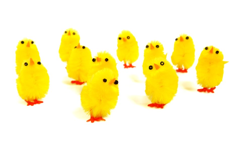 Yellow Material Beak Stuffed Toy
