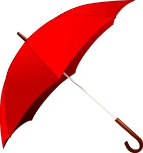 Red Umbrella Fashion Accessory Line photo