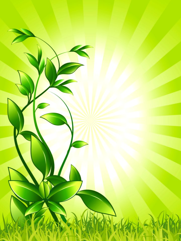 Green Leaf Vegetation Flora