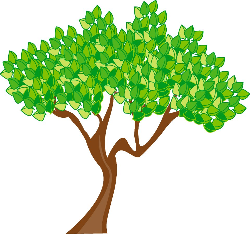 Tree Woody Plant Leaf Plant