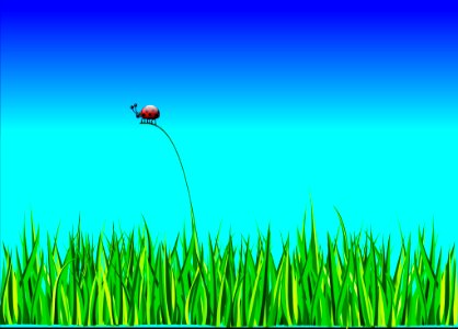 Grass Green Sky Field