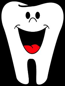 Face Facial Expression Tooth Nose