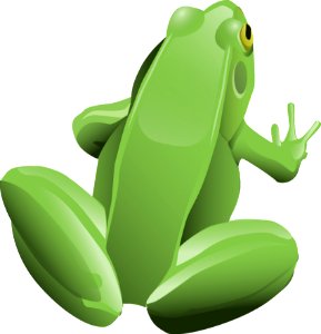 Amphibian Green Frog Tree Frog