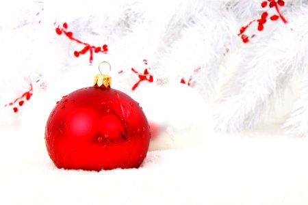 Christmas Ornament Christmas Decoration Christmas