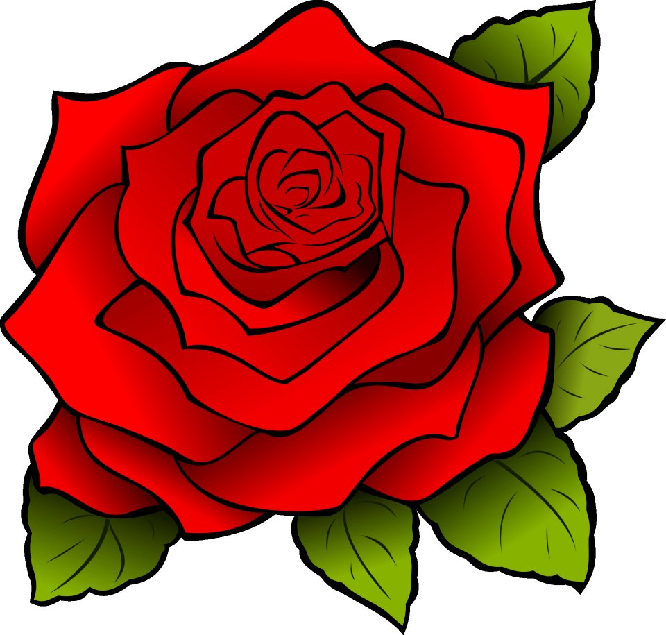 Flower Rose Red Flowering Plant