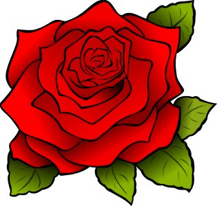Flower Rose Red Flowering Plant