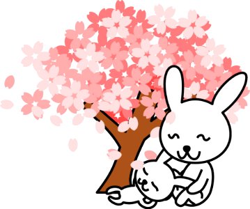 Pink Flower Mammal Rabbit