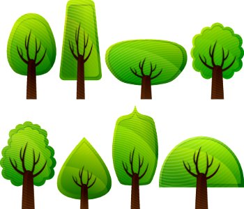 Green Plant Leaf Tree